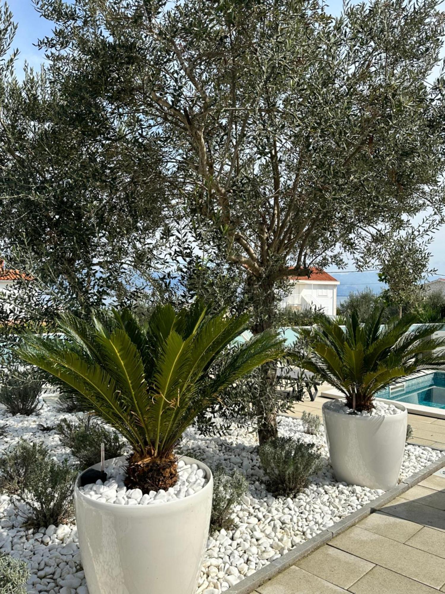Apartments Marina Trogir Extérieur photo